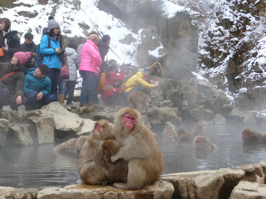 Akakura Yours Inn Myoko Eksteriør bilde